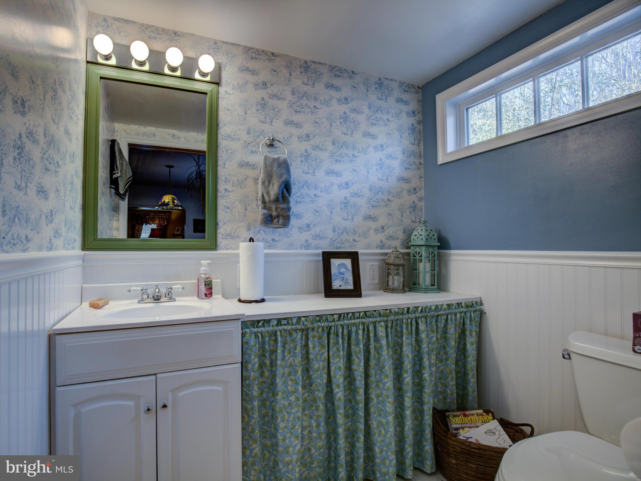 80 Rocky Bank Road Boyce, VA 22620 - Photo 29 of 30 a bathroom with a sink vanity and a mirror
