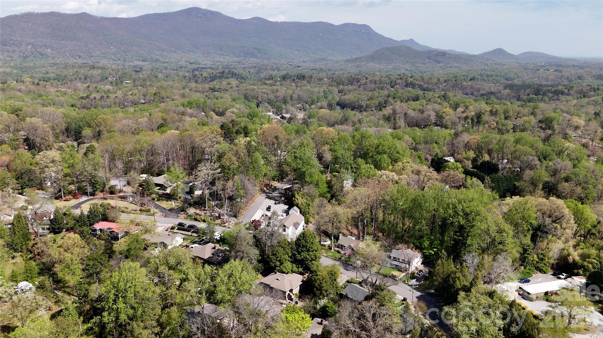 335 Melrose Avenue, Unit 103 Tryon, NC 28782 - Photo 31 of 38 a view of a lush green hillside and houses