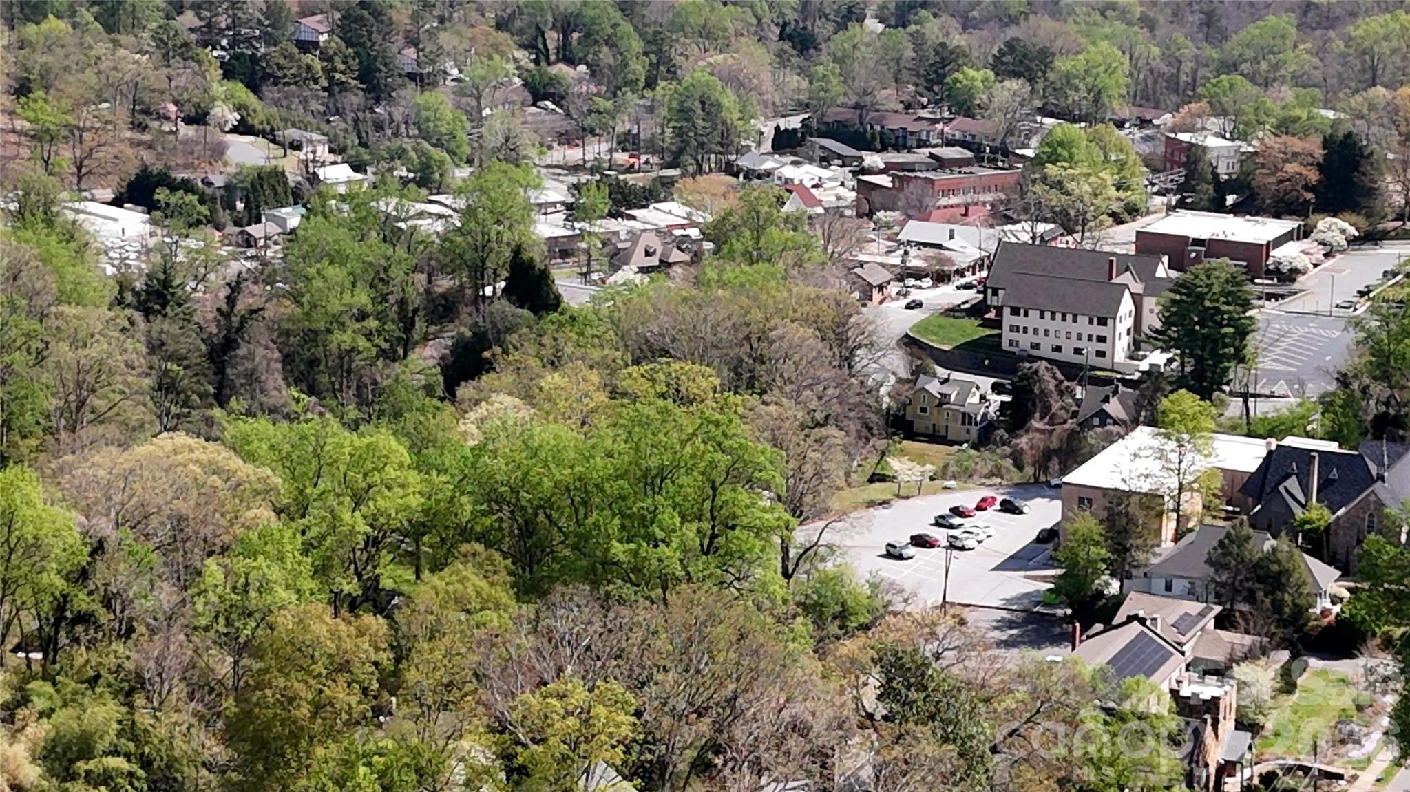 335 Melrose Avenue, Unit 103 Tryon, NC 28782 - Photo 32 of 38 an aerial view of a houses with a yard