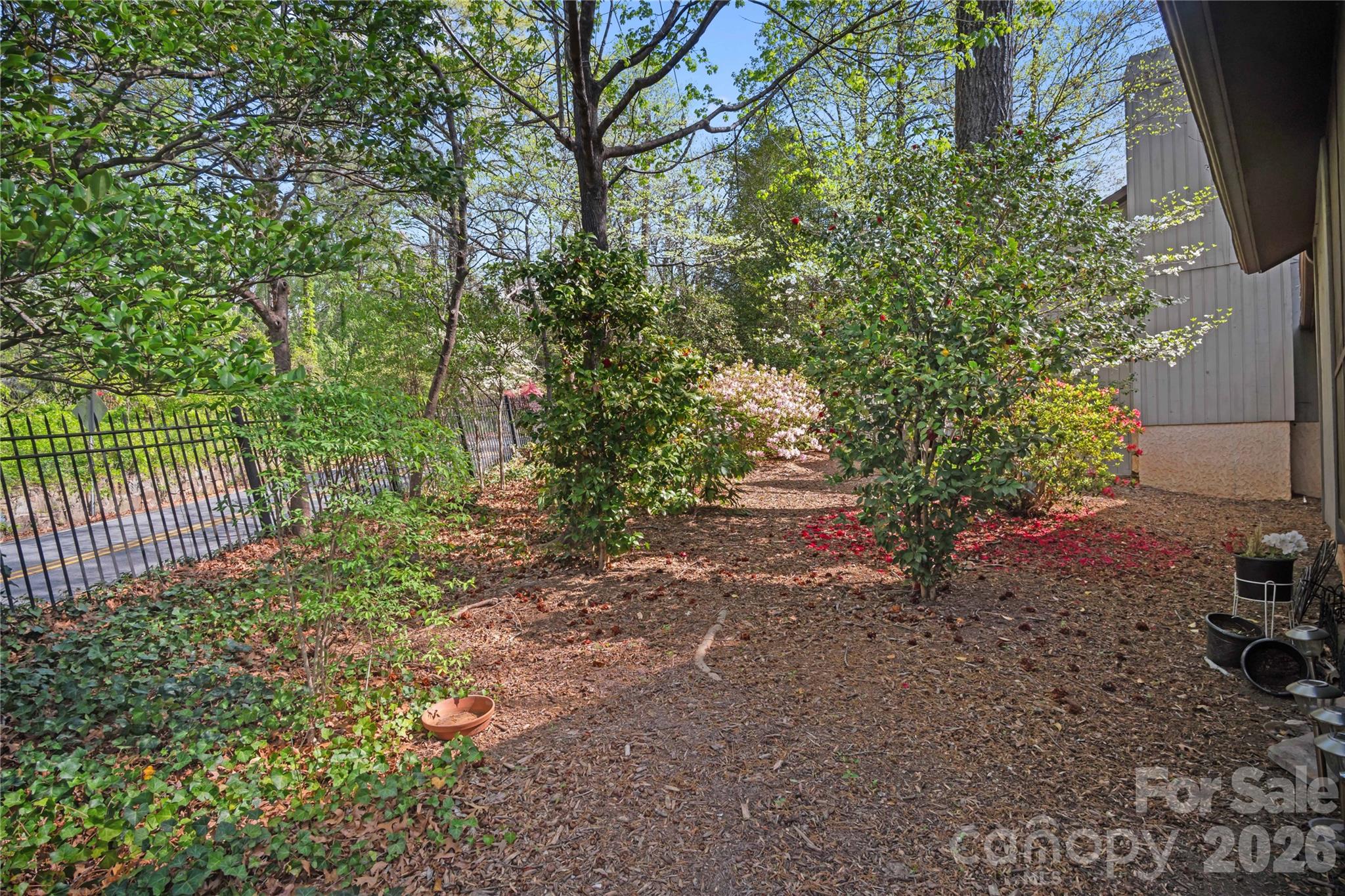 335 Melrose Avenue, Unit 103 Tryon, NC 28782 - Photo 7 of 38 a view of a yard with plants and trees