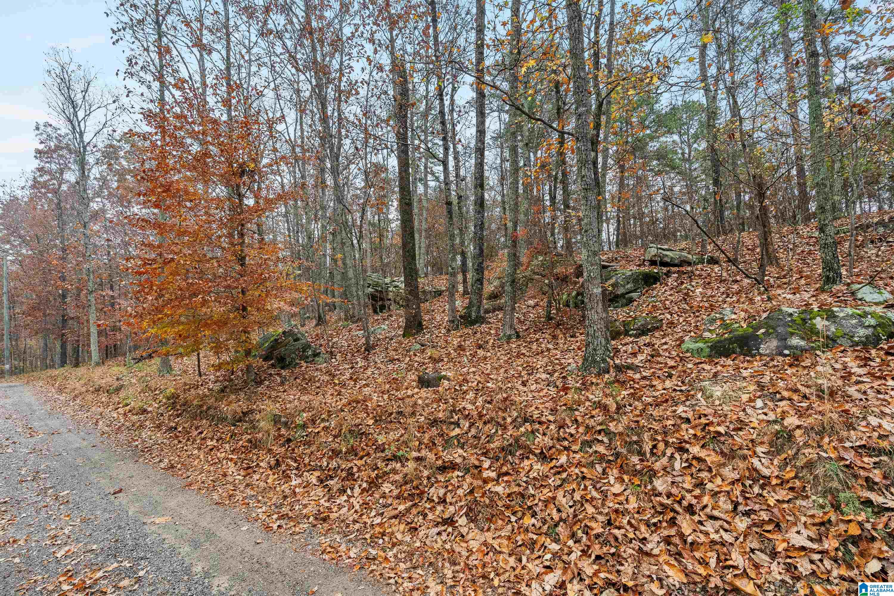 65 Ridgecrest Lane Trussville, AL 35173 - Photo 73 of 84