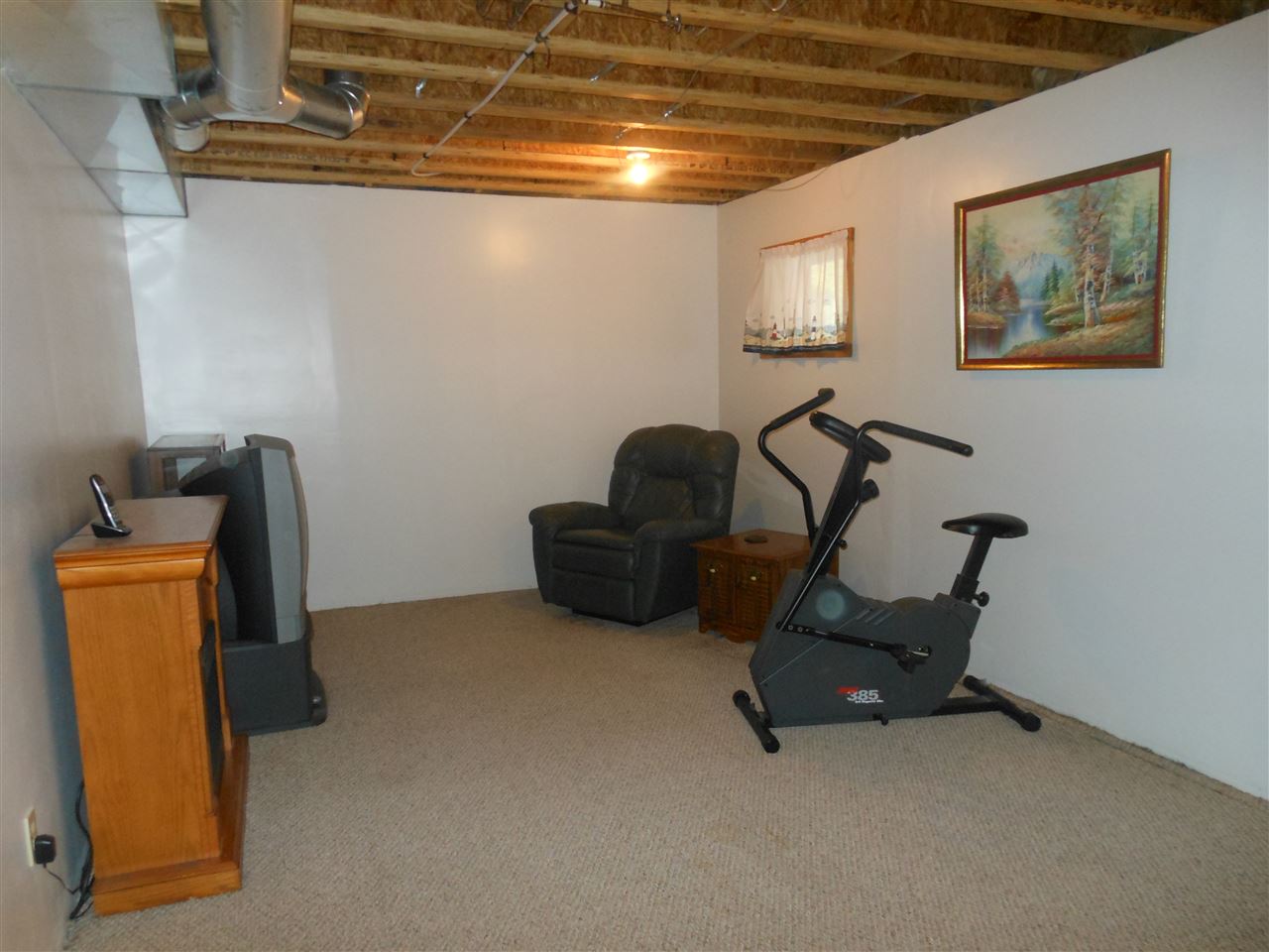 4383 Caine Road Vassar, MI 48768 - Photo 13 of 22 50012235-12.JPG