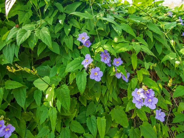 $15,000 | 726 Flamevine Lane, Vero Beach, FL 32963