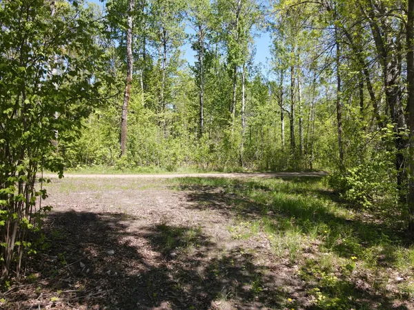 $249,900 | Lot 2 Hason Lake Road, Grand Rapids, MN 55744