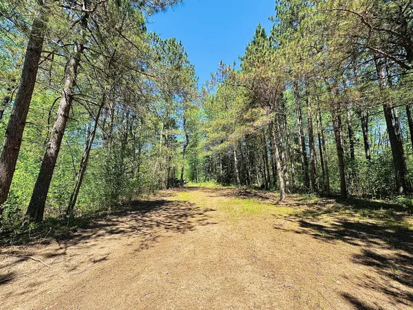 $249,900 | Lot 2 Hason Lake Road, Grand Rapids, MN 55744