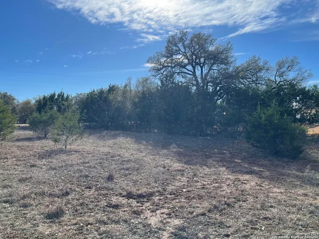 a view of a yard with a tree