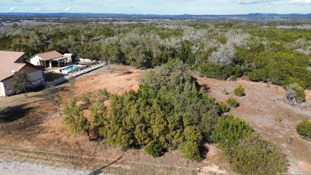 a view of a forest with mountains in the background