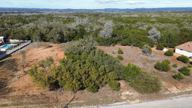 a view of a forest with trees