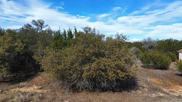 a view of a road with a yard