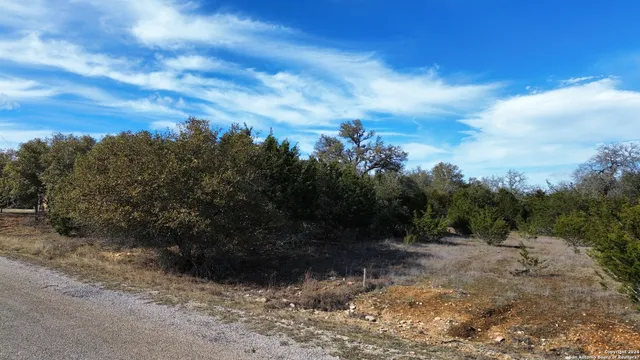 a view of a yard with a tree
