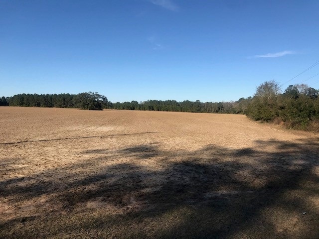 0 Bon Secour Highway Bon Secour, AL 36511 - Photo 2 of 7
