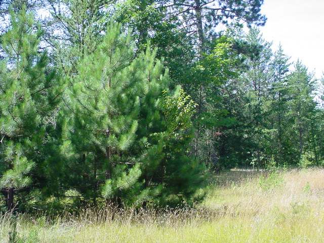On Lake Mildred Road Rhinelander, WI 54501 - Photo 12 of 12 Gallery Image 12