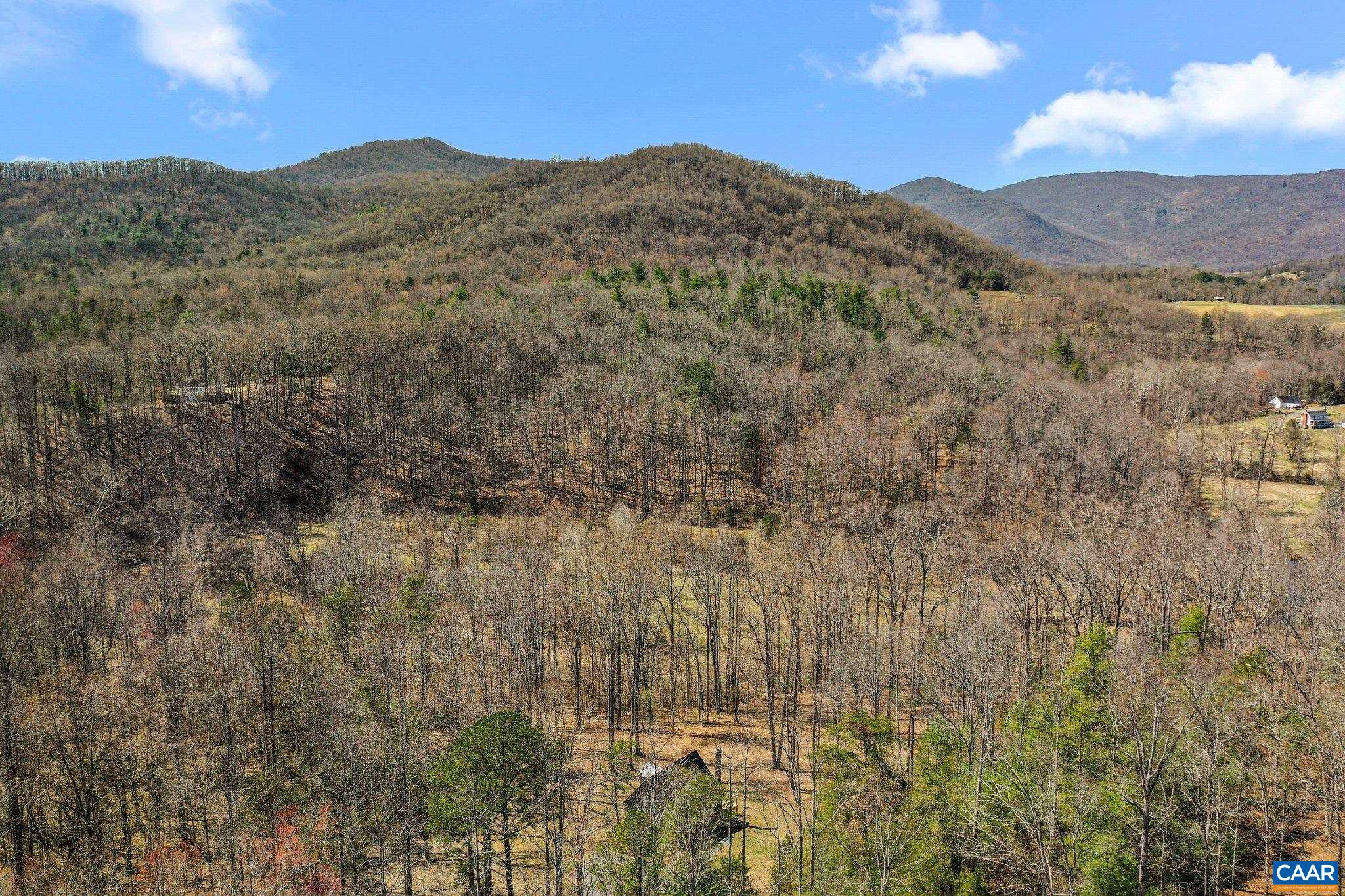 6500 Free Union Road Free Union, VA 22940 - Photo 33 of 35 a view of a mountain range in a cloudy sky