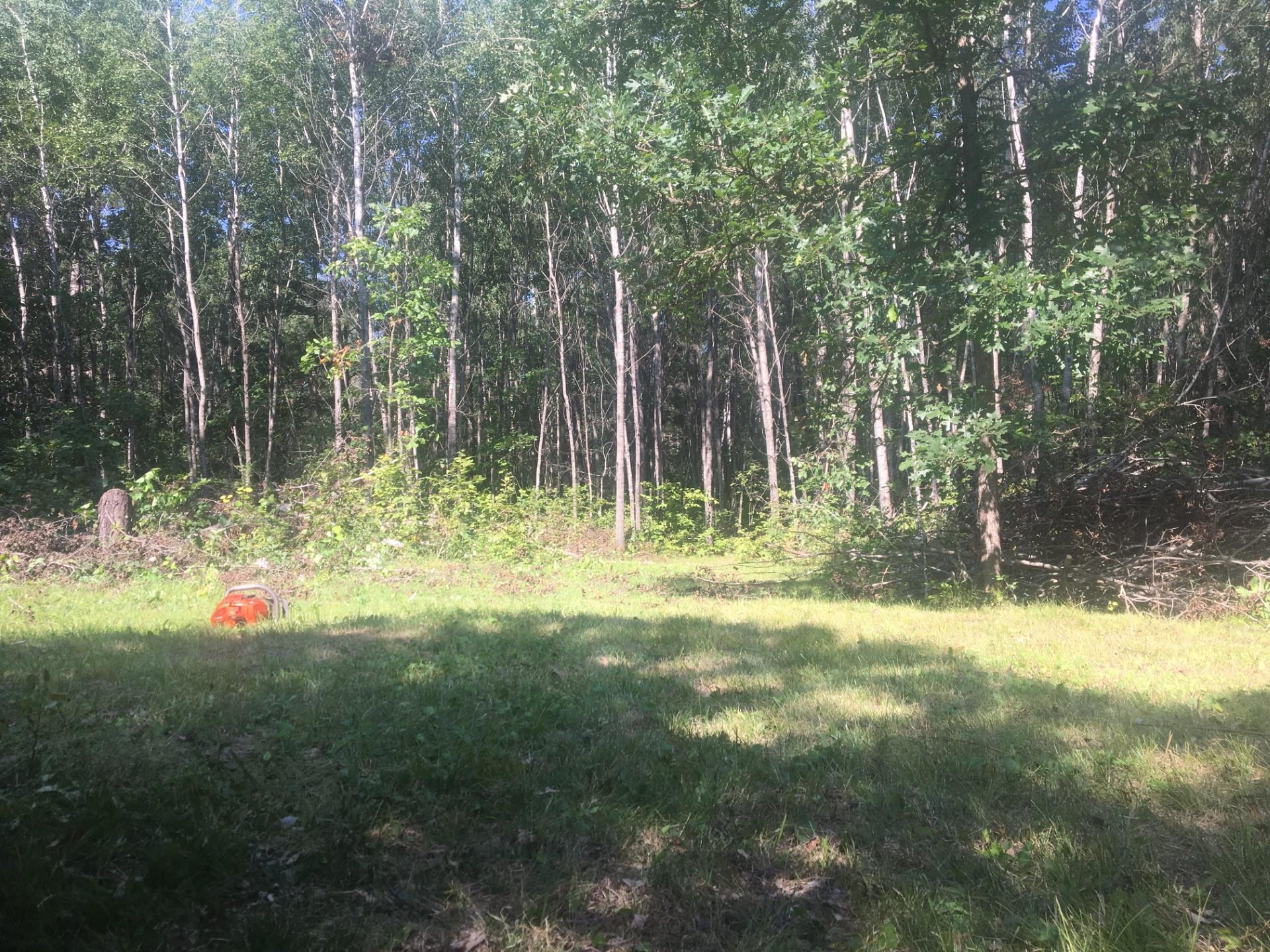 Tbd Rivers Edge Trail Southwest Backus, MN 56435 - Photo 1 of 1 Gallery Image 1