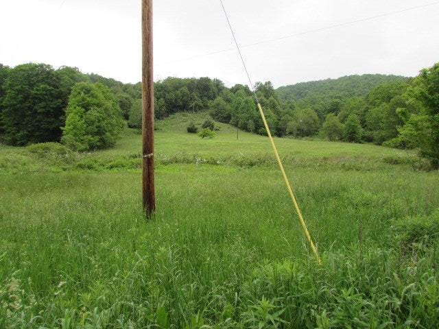 Tbd Flat Ridge Road Troutdale, VA 24378 - Photo 8 of 26 Gallery Image 8