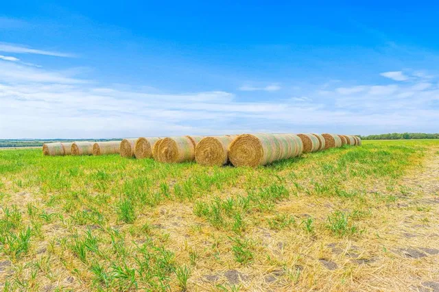 a view of swimming pool from a yard