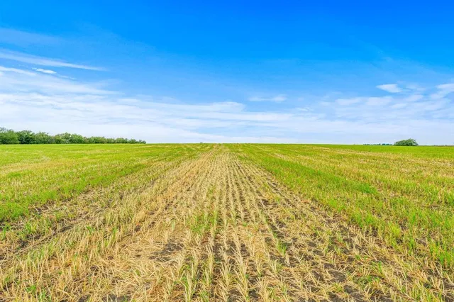 a view of an ocean from a yard