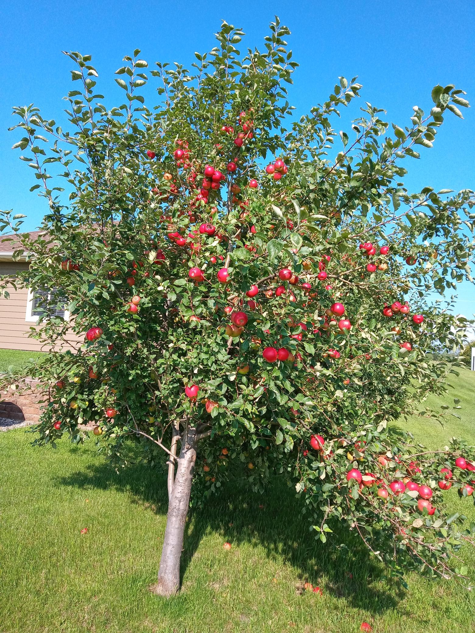 20733 East Dane Prairie Road Fergus Falls, MN 56537 - Photo 47 of 84