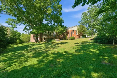a view of a big yard with large trees