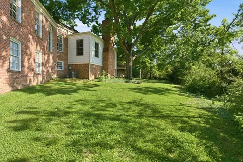 a big yard with large trees