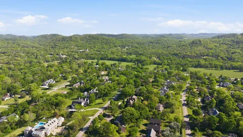 a view of a city with lush green forest