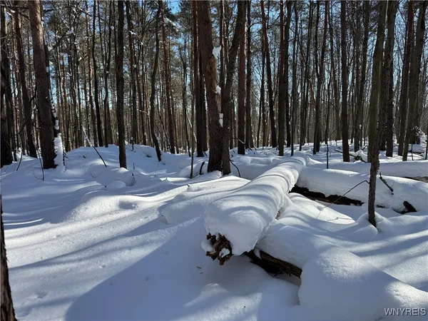 $99,000 | 10934 Harlow Road, Darien, NY 14040