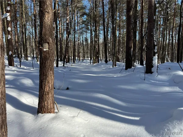 $99,000 | 10934 Harlow Road, Darien, NY 14040