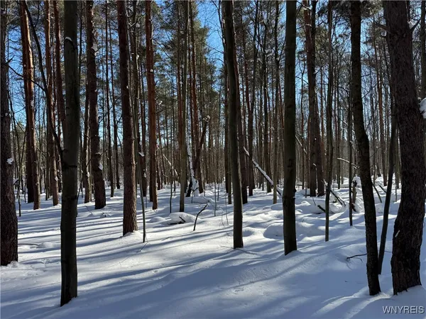 $99,000 | 10934 Harlow Road, Darien, NY 14040