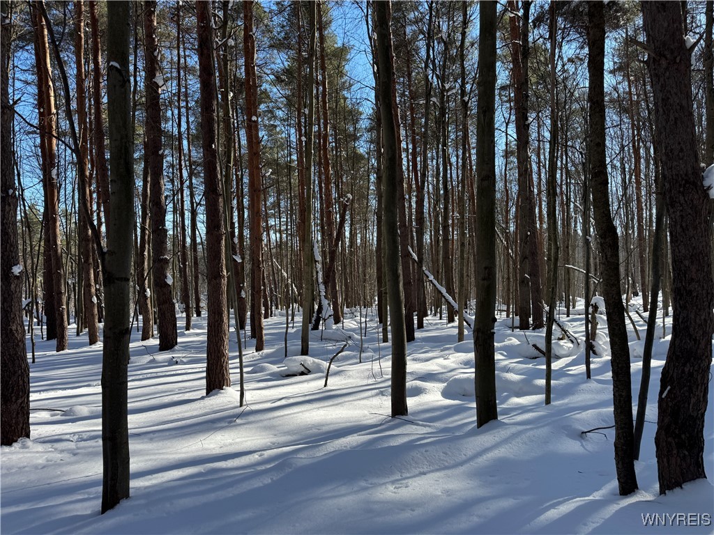 10934 Harlow Road Darien, NY 14040 - Photo 13 of 14