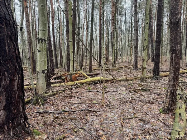 $79,900 | 10934 Harlow Road, Darien, NY 14040