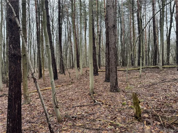 $79,900 | 10934 Harlow Road, Darien, NY 14040