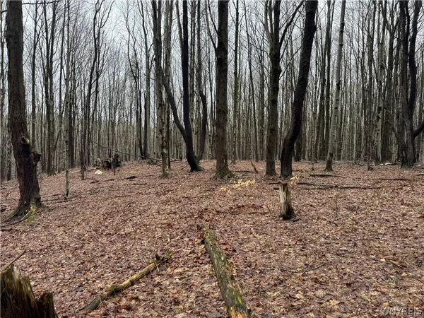 $79,900 | 10934 Harlow Road, Darien, NY 14040