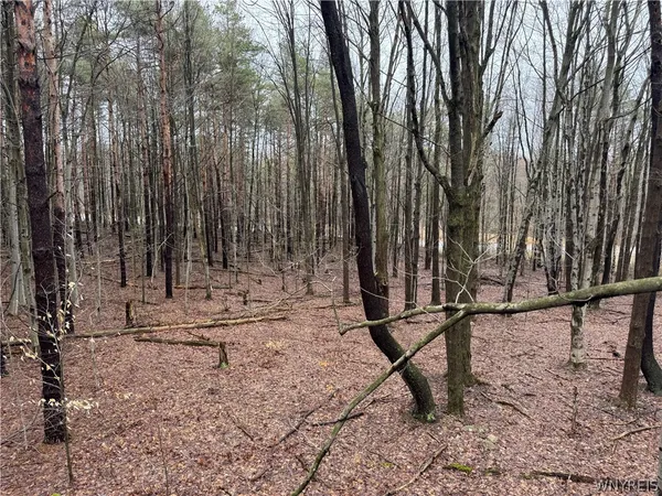 $79,900 | 10934 Harlow Road, Darien, NY 14040