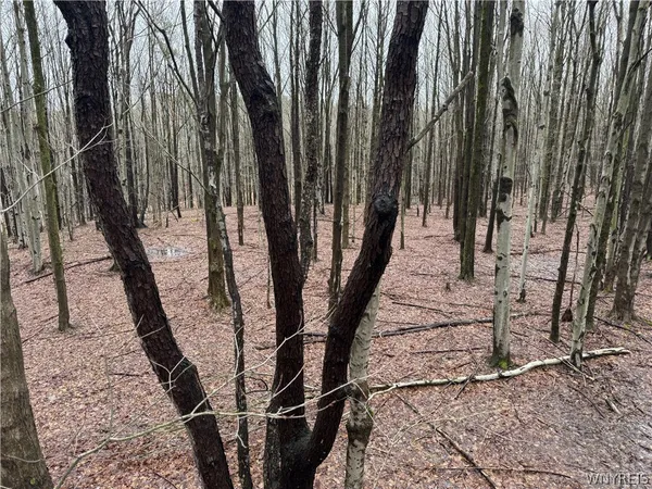 $79,900 | 10934 Harlow Road, Darien, NY 14040