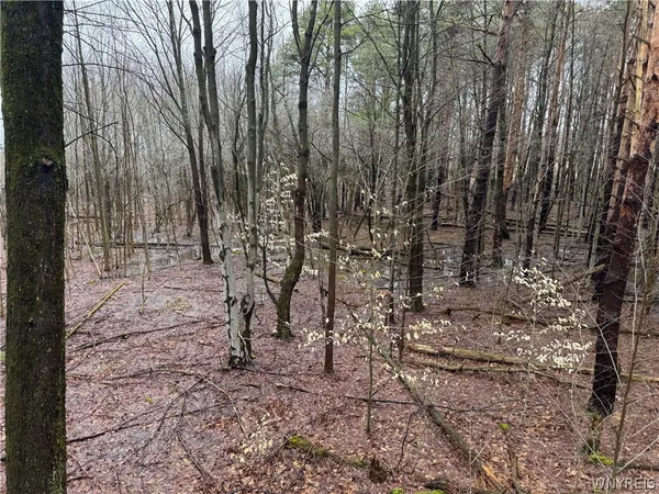 $79,900 | 10934 Harlow Road, Darien, NY 14040