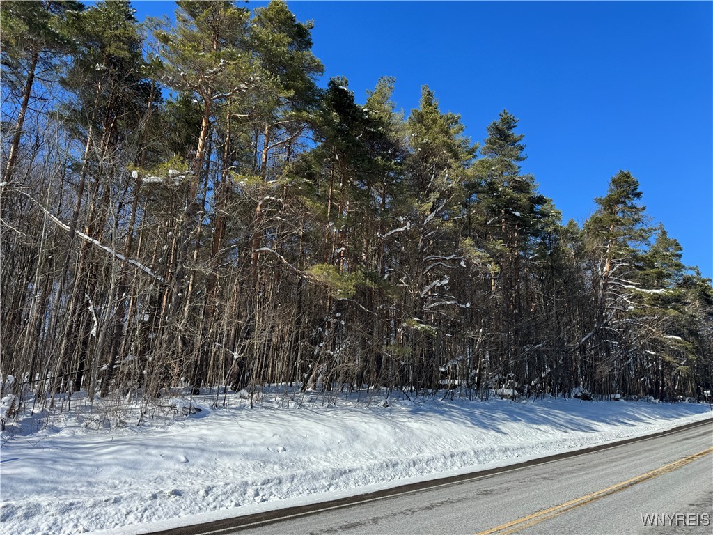 10934 Harlow Road Darien, NY 14040 - Photo 2 of 14