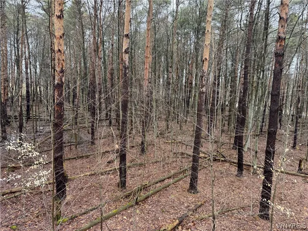 $79,900 | 10934 Harlow Road, Darien, NY 14040