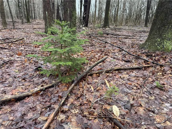 $79,900 | 10934 Harlow Road, Darien, NY 14040