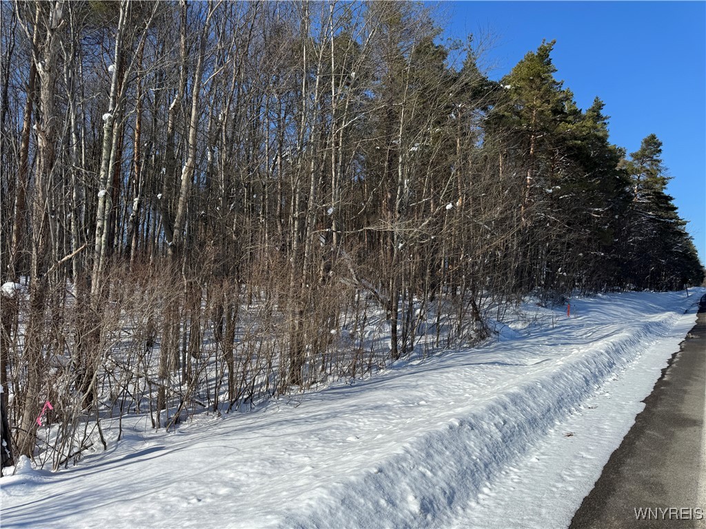 10934 Harlow Road Darien, NY 14040 - Photo 3 of 14