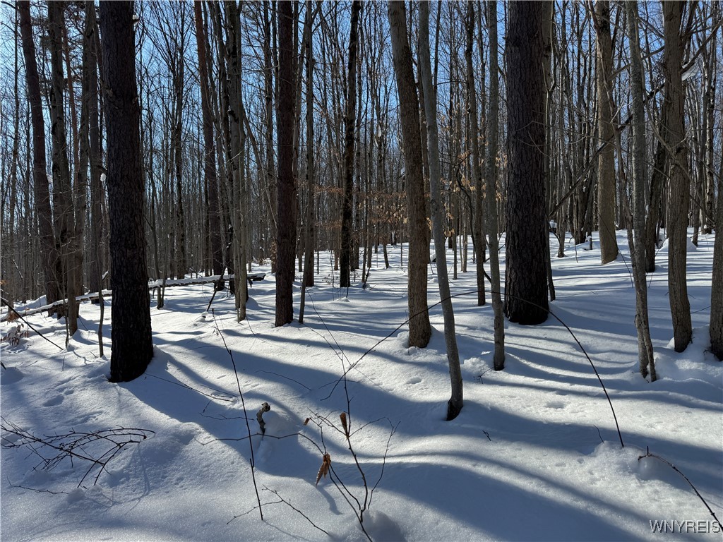 10934 Harlow Road Darien, NY 14040 - Photo 4 of 14