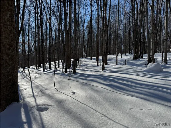 $99,000 | 10934 Harlow Road, Darien, NY 14040