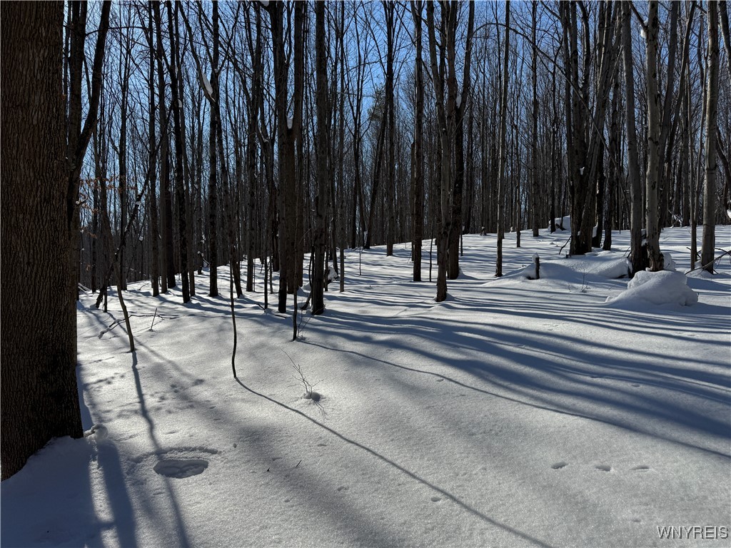 10934 Harlow Road Darien, NY 14040 - Photo 5 of 14