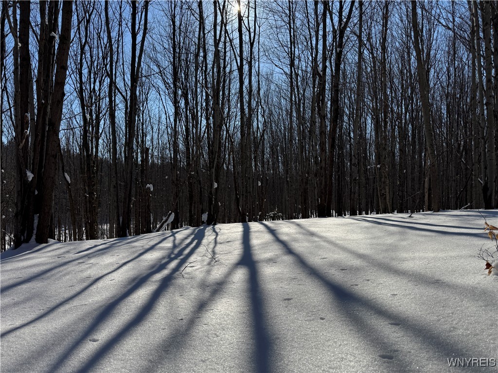 10934 Harlow Road Darien, NY 14040 - Photo 6 of 14
