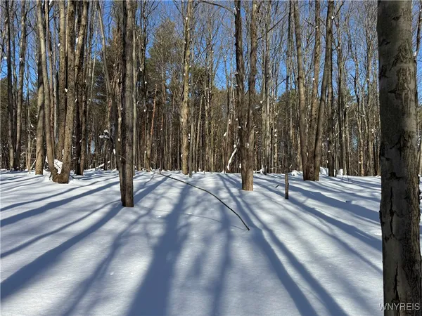 $99,000 | 10934 Harlow Road, Darien, NY 14040