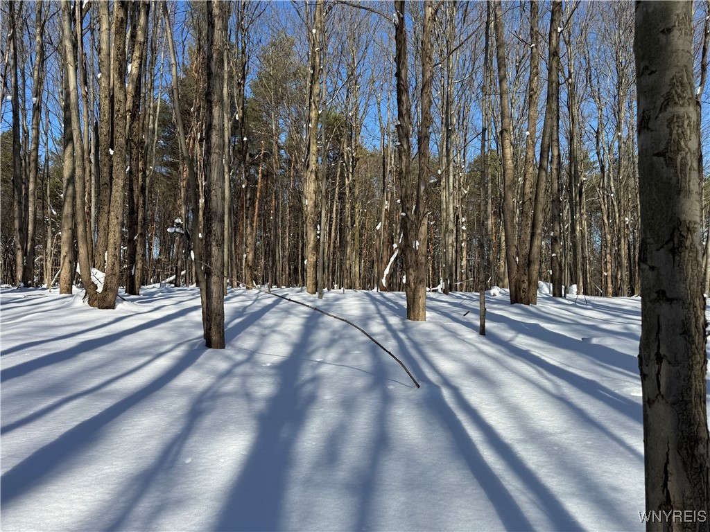 10934 Harlow Road Darien, NY 14040 - Photo 7 of 14