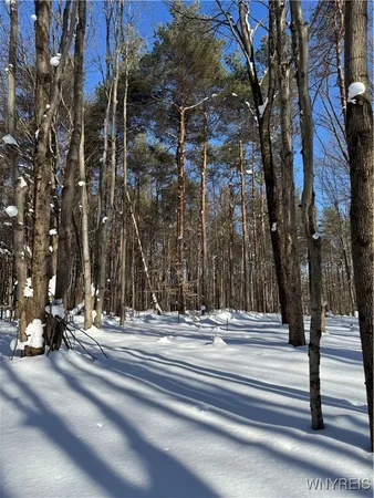 $99,000 | 10934 Harlow Road, Darien, NY 14040