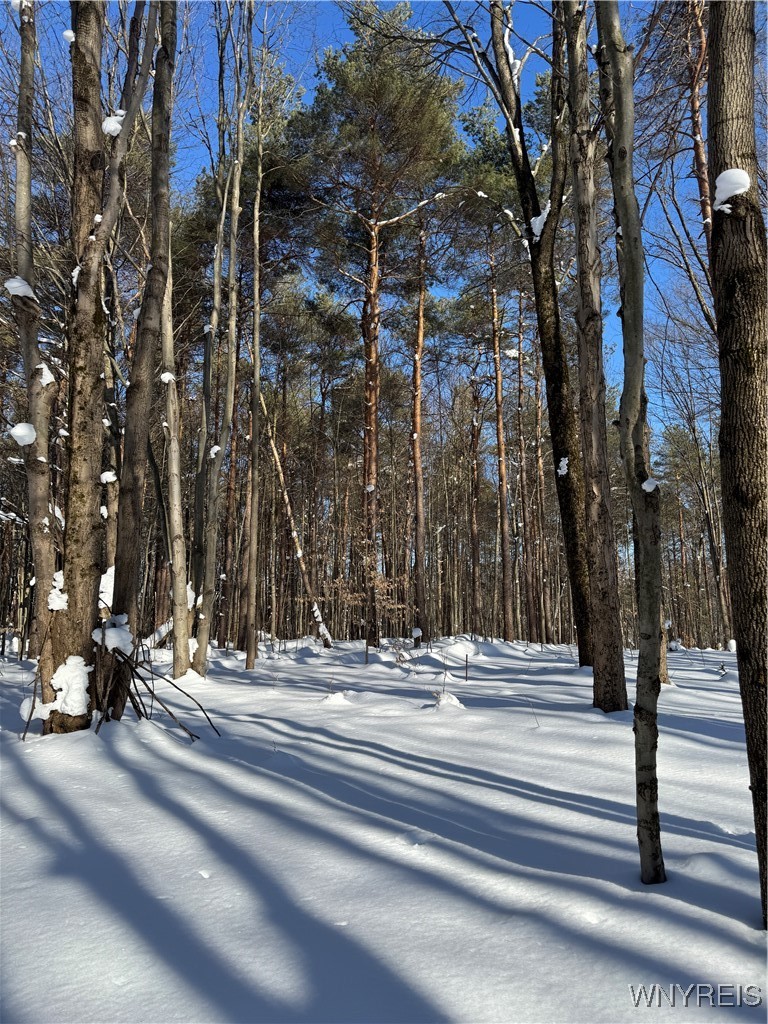 10934 Harlow Road Darien, NY 14040 - Photo 8 of 14