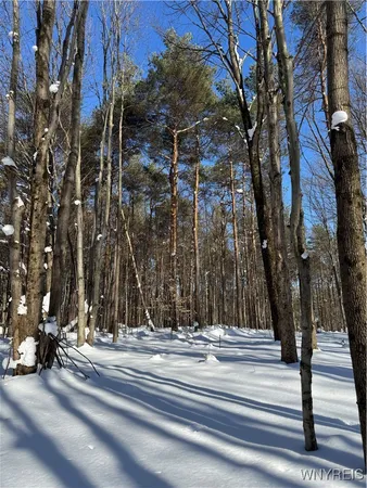 $99,000 | 10934 Harlow Road, Darien, NY 14040