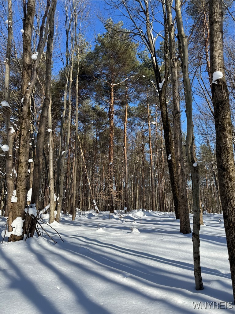 10934 Harlow Road Darien, NY 14040 - Photo 9 of 14