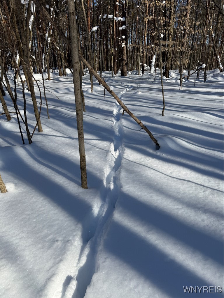 10934 Harlow Road Darien, NY 14040 - Photo 10 of 14
